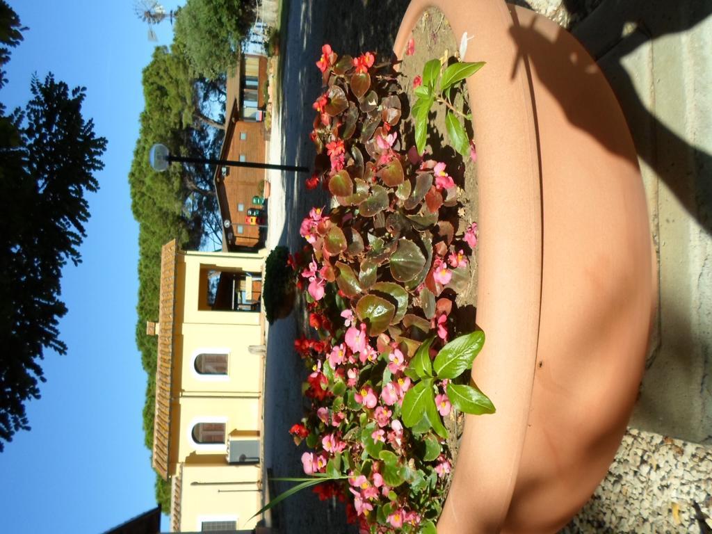 Agriturismo Toscanella Montebello Eksteriør bilde